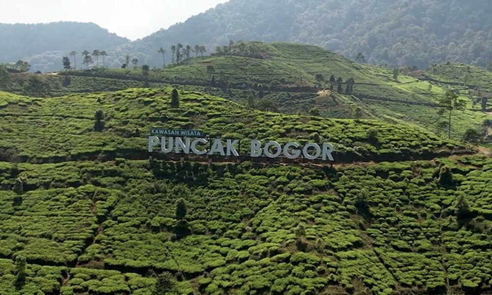 Kawasan Wisata Puncak Bogor. Tempat berlibur dengan udara dan pemandangan khas pegunungan dan tersedia banyak rekomendasi villa murah dan nyaman untuk liburan