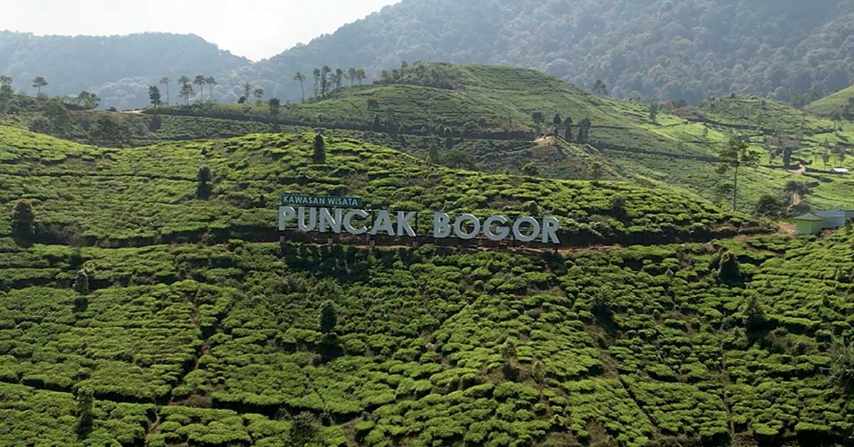 Kawasan Wisata Puncak Bogor. Tempat berlibur dengan udara dan pemandangan khas pegunungan dan tersedia banyak rekomendasi villa murah dan nyaman untuk liburan