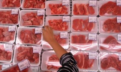 Ilustrasi daging kerbau impor [infopublik]