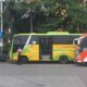 Bus TransPatriot