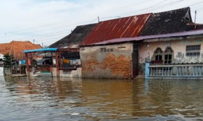 Ilustrasi banjir rob [viva]