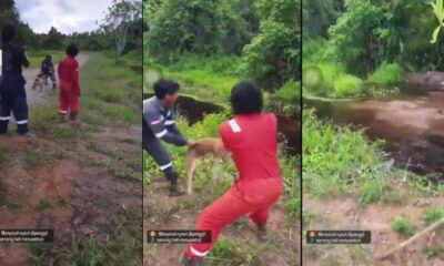 2 laki-laki yang memakai seragam sebuah perusahaan sedang melempar anjing hidup agar dimangsa buaya [tribunnews]