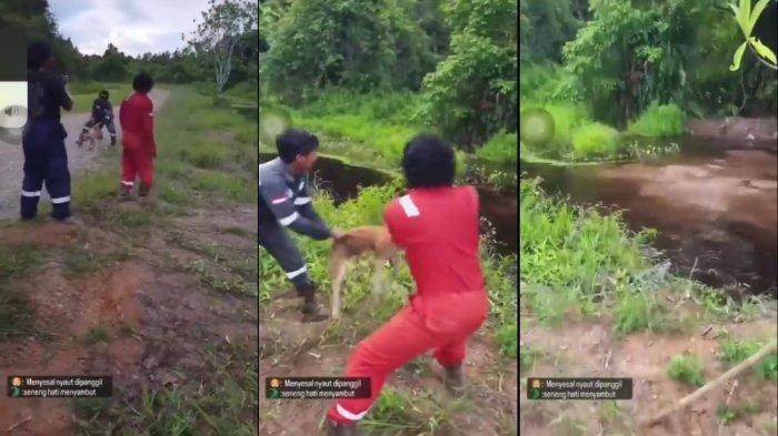 2 laki-laki yang memakai seragam sebuah perusahaan sedang melempar anjing hidup agar dimangsa buaya [tribunnews]