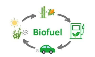 Ilustrasi biofuel [smallcycle]