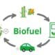 Ilustrasi biofuel [smallcycle]
