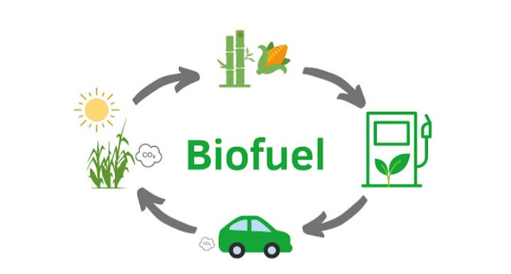 Ilustrasi biofuel [smallcycle]