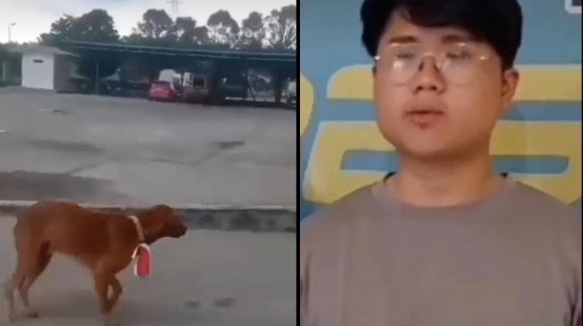 Pria yang memasangkan bendera merah putih di leher anjing  ditetapkan sebagai tersangka [suara]