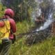 Kebakaran terjadi di Savana Gunung Bromo pada hari ini, Rabu (30/8/2023) [antara]