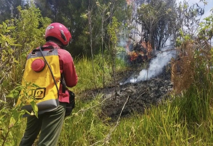 Kebakaran terjadi di Savana Gunung Bromo pada hari ini, Rabu (30/8/2023) [antara]