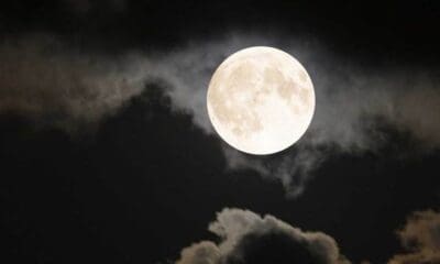 Ilustrasi full moon [wkbn]