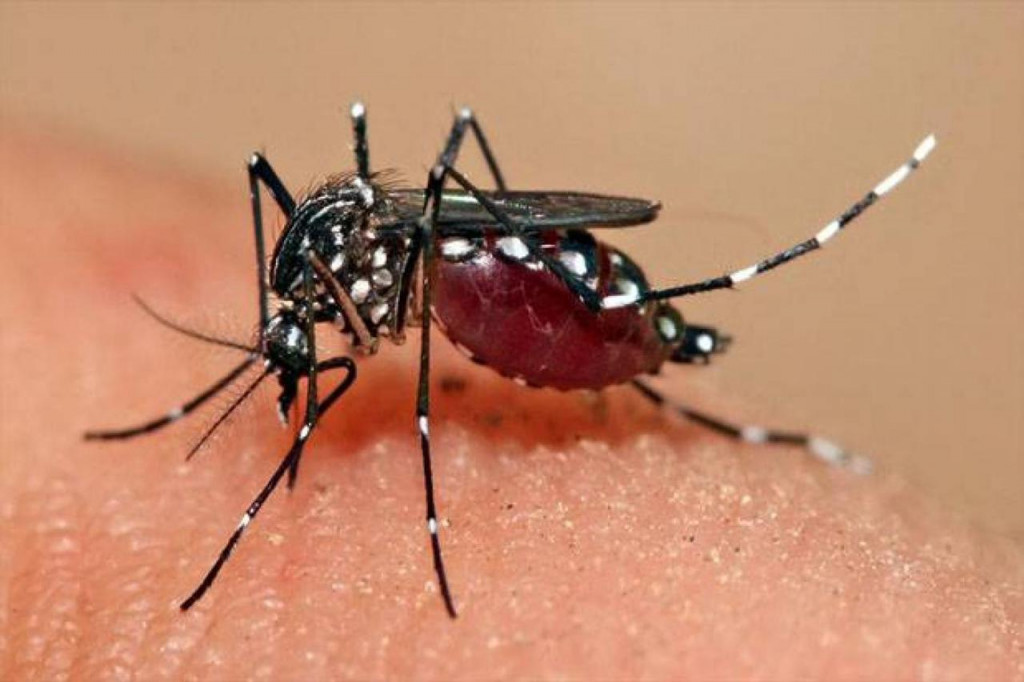 Demam berdarah dengue (DBD) merupakan masalah kesehatan akibat gigitan nyamuk Aedes aegypti [bandungkab]