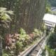 Jalur lift terbuka yang berada di Ayu Terra Resort, Desa Kedewatan, Ubud, Gianyar, Bali, tewaskan lima orang pegawainya, Jumat 1 September 2023 sebab tali lift putus [tribunnews]