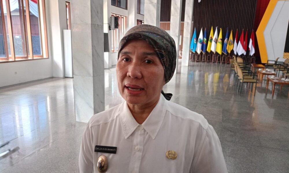 Emilia Kusumawati selaku Kepala Dinas Lingkungan Hidup Provinsi Lampung [disway]