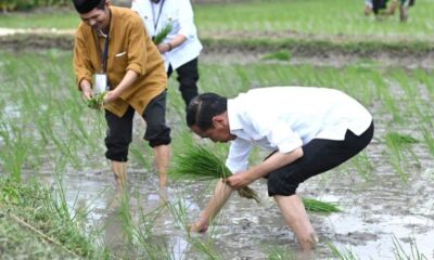 Presiden Joko Widodo (Jokowi) [primetimes]