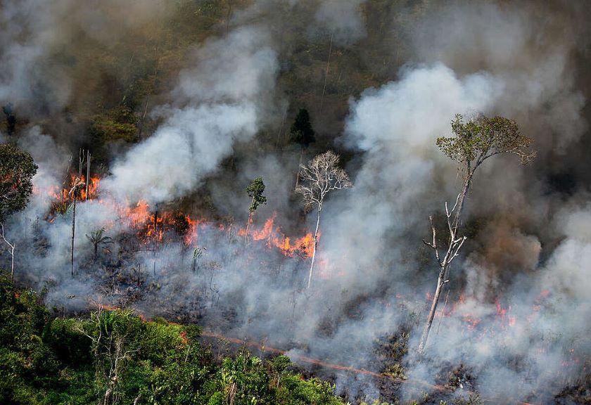 Ilustrasi kebakaran hutan dan lahan [betahita]