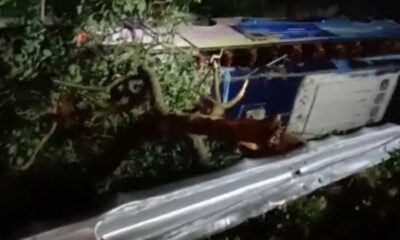 Bus terguling di Tol Cipali, 1 orang dikabarkan tewas dalam peristiwa ini [kompas]