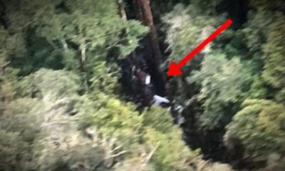 Pesawat Pilatus Smart Air jatuh di hutan yang lokasinya di Binuang, Krayan, Nunukan, Kalimantan Utara pada hari Jumat (8/3/2024) [tribunnews]