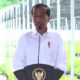 Hijaukan Kembali IKN, Presiden Jokowi Resmikan Persemaian Mentawir [liputan6]