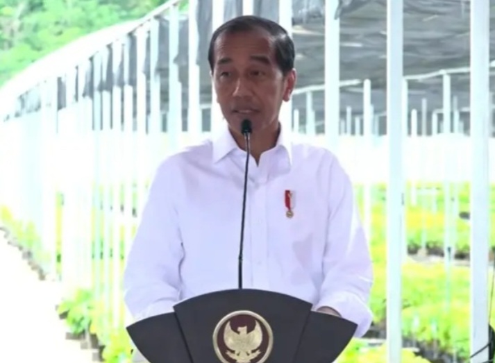 Hijaukan Kembali IKN, Presiden Jokowi Resmikan Persemaian Mentawir [liputan6]