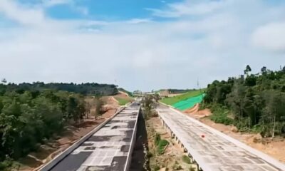 Di kawasan Jalan Tol IKN Segmen 3B KKT Kariangau-Simpang Tempadung ditanami 100 jenis pohon endemik Jawa [timenews]