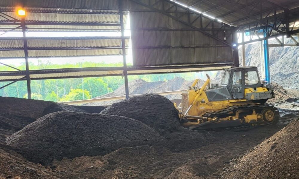 PLN Indonesia Power (PLN IP) telah memakai tandan kosong (tankos) kelapa sawit sebagai bahan bakar Pembangkit Listrik Tenaga Uap (PLTU) Sintang, Kalimantan Barat [okezone]