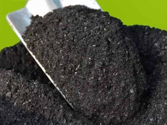 Ilustrasi biochar yang dapat rehabilitasi lahan kritis dan dorong produktifitas tanaman [veolia]