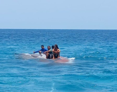 Kapal Ocean 5 yang membawa wisatawan asing tenggelam di Shark Poin, perairan Gili Trawangan, Kabupaten Lombok Utara, Nusa Tenggara Barat (NTB) [radarlombok]