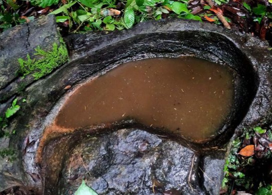 Objek batu gadur di hutan desa tongka [kompas]