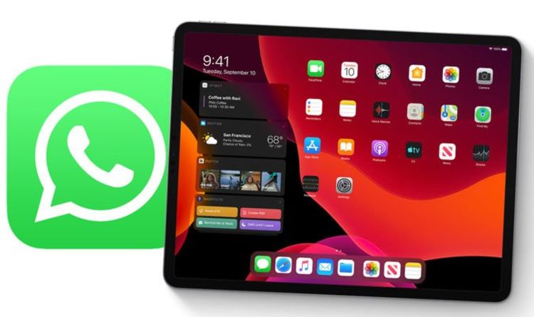 Whatsapp khusus iPad [insider Indonesia]