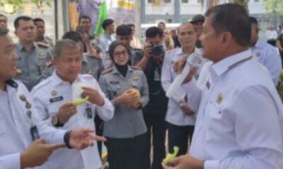 Panen melon di lapas Sukamiskin [brilian-news]