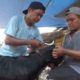 Ilustrasi salon kambing kurban [detik]