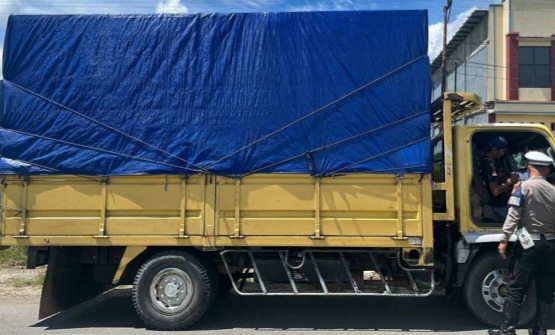 Ilustrasi sosialisasi truk ODOL [alongwalker]
