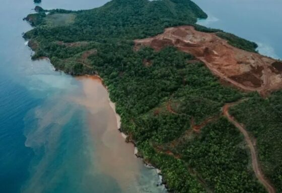 Salah satu pulau di Raja Ampat, Papua Barat yang dijadikan sebagai lokasi pertambangan nikel [suarasurabaya]