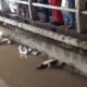 Mayat ditemukan mengambang di aliran Kalimalang, Bekasi [tribunnews]