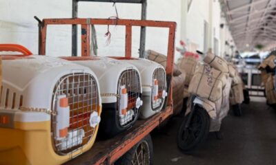 Foto istimewa/KAI Logistik
