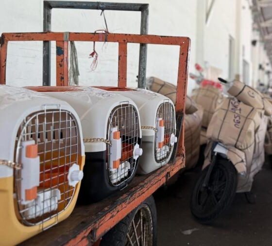 Foto istimewa/KAI Logistik