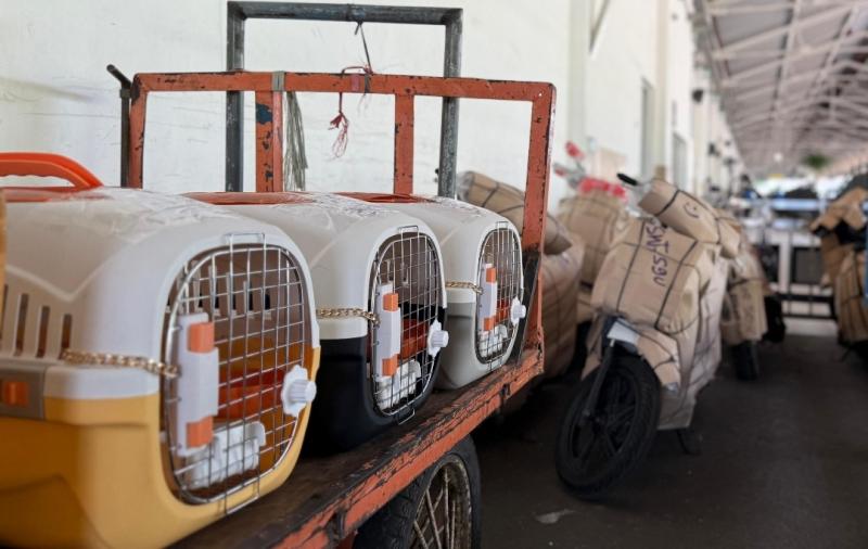 Foto istimewa/KAI Logistik