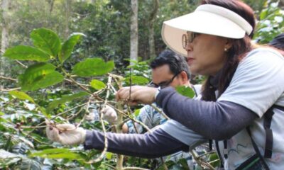 Foto istimewa/FIF Group