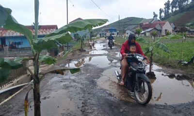 Jalan rusak tak kunjung diperbaiki Pemda sebabkan Warga Dawuhan Brebes tanami pohon pisang di jalan tersebut [arahpantura]