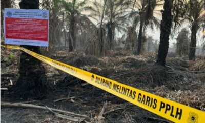 KLH segel 4 perusahaan di Riau sebab picu karhutla [kemenlh]