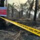 KLH segel 4 perusahaan di Riau sebab picu karhutla [kemenlh]