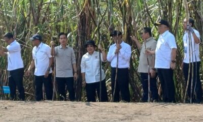 Wapres Gibran panen tebu di Sleman [kompas]
