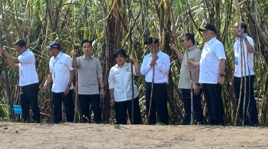 Wapres Gibran panen tebu di Sleman [kompas]