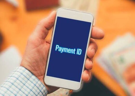 Ilustrasi Payment ID yang akan diuji coba tanggal 17 Agustus 2025 [bloombergtechnoz]