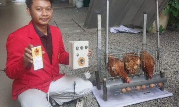 Sistem IoT tingkatkan produktivitas ayam petelur [kilasjatim]