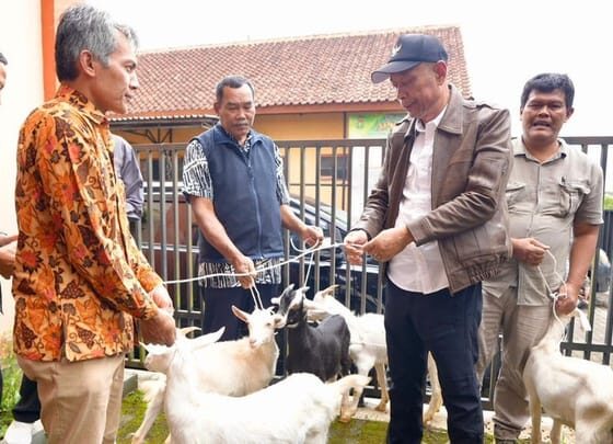 Program 'Kampung Berdaya Kemensos' di bidang peternakan [tirto]