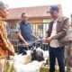 Program 'Kampung Berdaya Kemensos' di bidang peternakan [tirto]