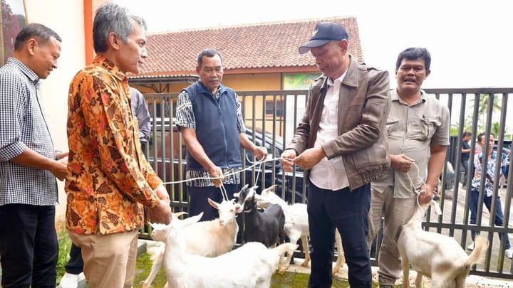 Program 'Kampung Berdaya Kemensos' di bidang peternakan [tirto]
