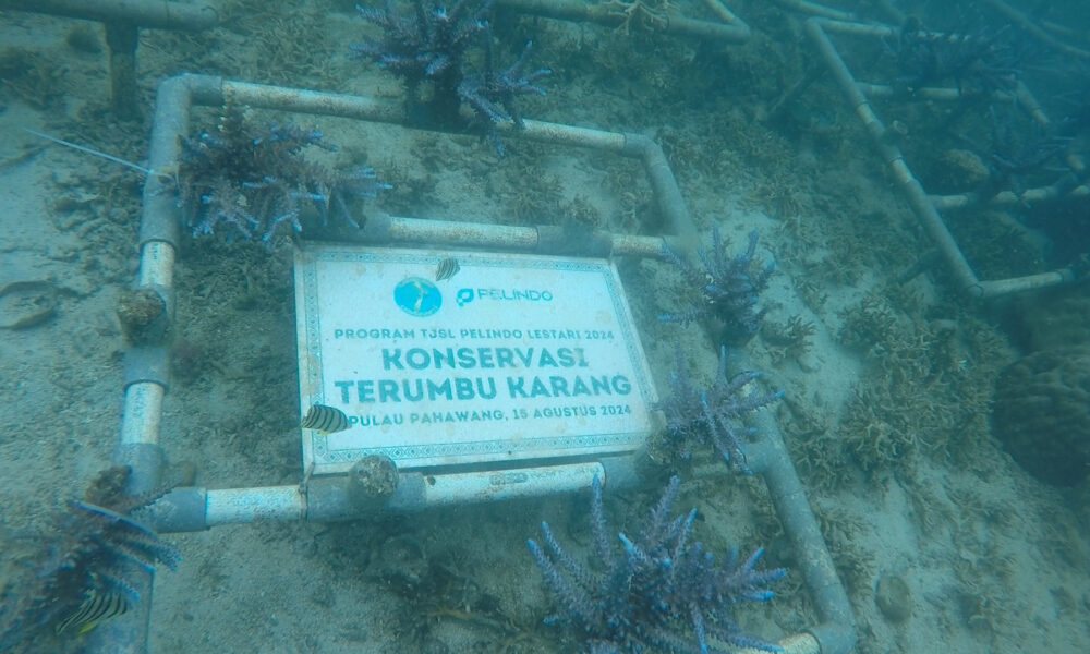 Foto istimewa/ipctpk