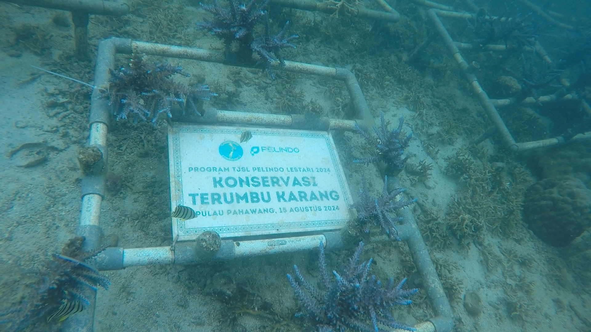 Foto istimewa/ipctpk